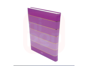 Agenda 2024 DAC Purple